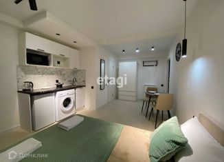 Продажа квартиры студии, 20.1 м2, Санкт-Петербург, Лесной проспект, 3А, Лесной проспект