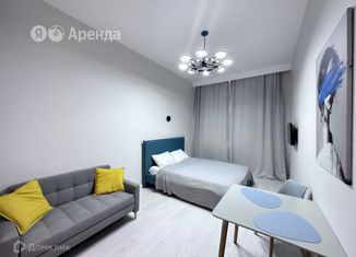 Сдается однокомнатная квартира, 27 м2, Санкт-Петербург, Белоостровская улица, 10к1, метро Выборгская