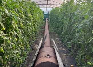 Продается земельный участок, 19 сот., село Морзох