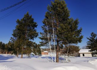 Продам участок, 12 сот., ДНТ Рябинка, Кленовая улица, 13