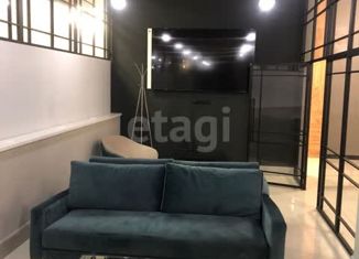 Продается 1-комнатная квартира, 20 м2, Москва, Подъёмная улица, 14с37, Подъёмная улица