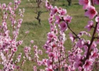 Продам участок, 130 сот., Верхореченское сельское поселение