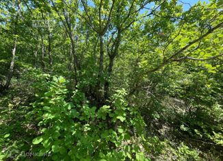 Участок на продажу, 7.24 сот., село Анастасиевка