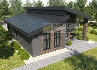 Продажа дома, 77 м2, село Дружино, Уютная улица, 22