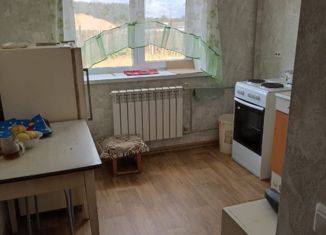 Продажа 2-комнатной квартиры, 47.1 м2, Нижегородская область, улица Мичурина, 33