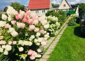 Продаю участок, 6.2 сот., деревня Александровка