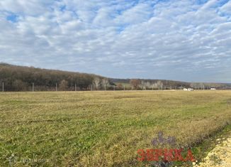 Продажа земельного участка, 11 сот., хутор Свет