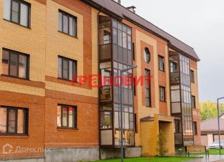 Продажа 1-ком. квартиры, 41 м2, Новосибирская область, Берёзовая улица, 25