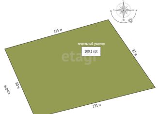Продам участок, 100.08 сот., деревня Бурмакина