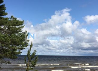 Продаю земельный участок, 50 сот., Рахьинское городское поселение