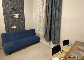 Сдаю в аренду квартиру студию, 25 м2, Санкт-Петербург, Лиговский проспект, 143, метро Обводный канал