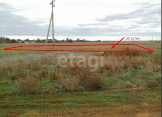 Продаю участок, 60 сот., село Шелковичное