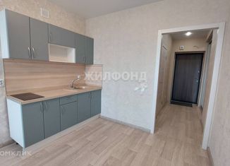 Продам однокомнатную квартиру, 26.2 м2, Новосибирск, Красный проспект, 323, ЖК Онега