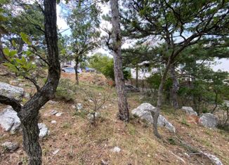 Продажа земельного участка, 14 сот., посёлок городского типа Гаспра, улица Горького