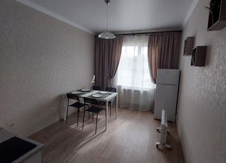 Квартира на продажу студия, 22 м2, Нальчик, улица Головко, 200, район Затишье
