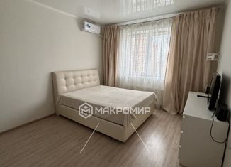 Аренда однокомнатной квартиры, 45 м2, Челябинск, улица Аношкина, 10, ЖК Александровский