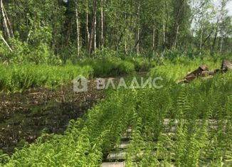 Продам участок, 19 сот., деревня Сяберо
