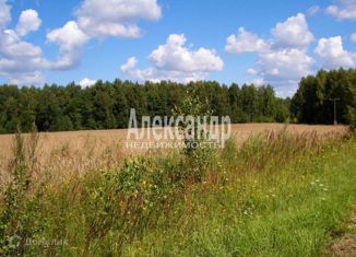 Земельный участок на продажу, 15 сот., ТСН Корневские Гривки, 1-я линия