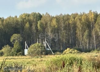 Продажа земельного участка, 100 сот., Бухтальское сельское поселение