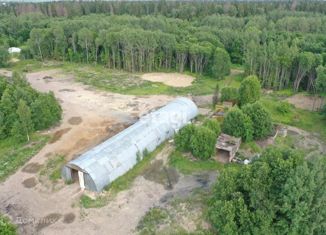 Продается участок, 450 сот., деревня Шелково, деревня Шёлково, 2