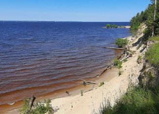 Продается участок, 500 сот., деревня Вашуриха, деревня Вашуриха, 6