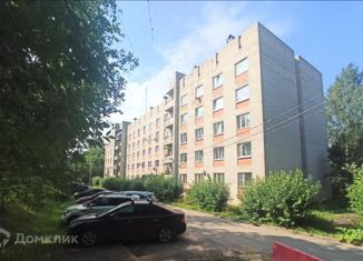 Однокомнатная квартира на продажу, 49.5 м2, деревня Разметелево, улица ПТУ-56, 3
