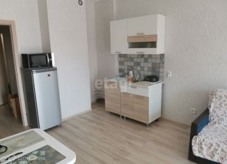 Сдам в аренду квартиру студию, 39 м2, Пермь, улица Революции, 54, ЖК Гулливер