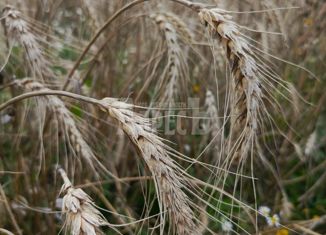 Продажа земельного участка, 17 сот., деревня Трясь