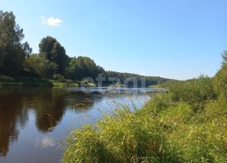 Продажа земельного участка, 42 сот., деревня Свеклино