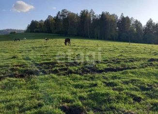 Продаю участок, 14.5 сот., село Александровка