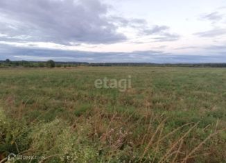 Продаю земельный участок, 30.25 сот., село Большое Ходяшево, Светлая улица