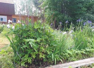 Продаю дом, 48 м2, деревня Колышкино, Береговая улица