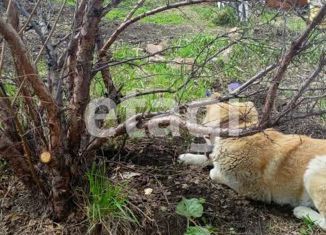 Дом на продажу, 90 м2, СНТ Сапфир, 3-я Изумрудная улица