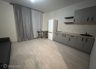 Аренда квартиры студии, 26 м2, Новосибирская область, Красный проспект, 331