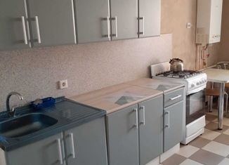 Сдаю в аренду 1-комнатную квартиру, 46 м2, Рязань, Семчинская улица, 5, ЖК Видный