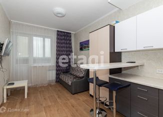 Сдаю в аренду квартиру студию, 20.5 м2, Новосибирск, улица Героев Революции, 21, улица Героев Революции