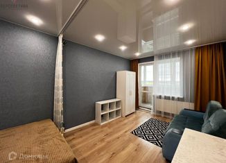 Продам квартиру студию, 28.4 м2, село Осиновая Гора, Восточная улица, 1