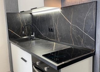 Продажа квартиры студии, 30.6 м2, посёлок Парголово, Заречная улица, 13к2, ЖК На Заречной