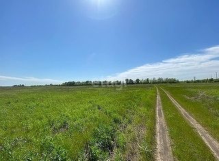 Участок на продажу, 10 сот., ДНТ Усадьба