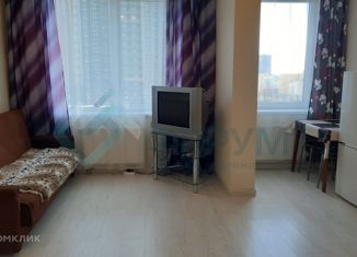 Продажа 1-комнатной квартиры, 28 м2, деревня Анкудиновка, ЖК КМ Анкудиновский Парк, Русская улица, 3