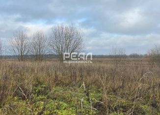 Участок на продажу, 15 сот., деревня Таровицы, деревня Таровицы, 16