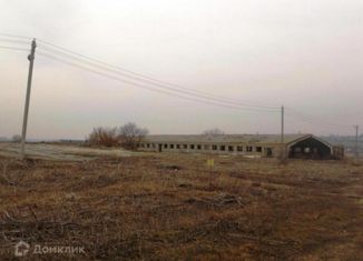 Продаю участок, 31 сот., село Беловское