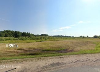 Продам участок, 3500 сот., деревня Борки