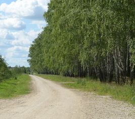 Продаю участок, 9.01 сот., село Кузьмищево