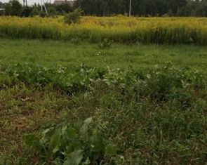 Продается земельный участок, 10 сот., деревня Остреево, деревня Остреево, 132А