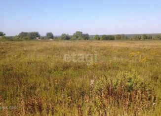 Участок на продажу, 331.4 сот., деревня Протасьево