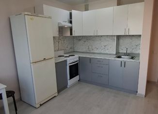 Сдаю однокомнатную квартиру, 42 м2, Уфа, улица Степана Злобина, 2, Советский район