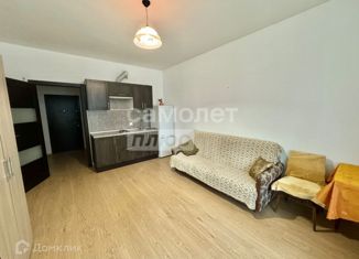 Квартира на продажу студия, 24 м2, деревня Кудрово, Столичная улица, 5к2