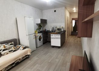 Аренда 1-комнатной квартиры, 30 м2, Уфа, улица Энтузиастов, 15, ЖК Биосфера