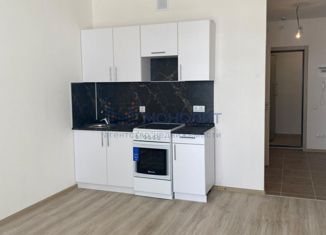 Продам 1-комнатную квартиру, 26.6 м2, деревня Анкудиновка, ЖК КМ Анкудиновский Парк